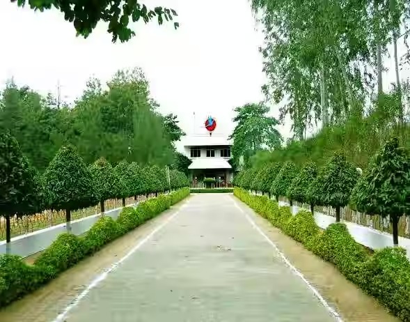 Vikas Bharti School